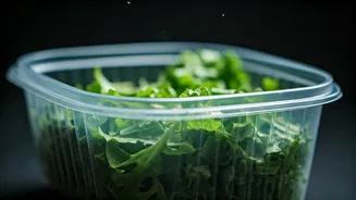 Plastic Containers Have Entered The Food-Safety Feed