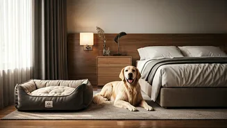 Pet-Friendly Policies Are The New Booking Filter