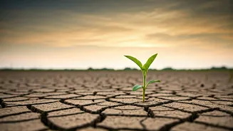 India Tracks Driest June In 146 Years Despite Rain