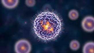 Unlocking CoQ10: Your Guide to Energy, Cell Health, and Heart Support