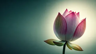 Mahavir Jayanti 2026: 50+ Heartfelt Wishes, Inspiring Quotes & Image Ideas