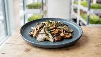 How Urban Micro-Farms Upcycle Spent Coffee Grounds For Premium Mushrooms