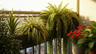 Balcony Gardens Become Instagram Trend