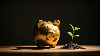 Why Bigger Emergency Funds Beat Bigger Investments