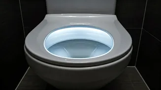 Clean Your Toilet Right: A Guide
