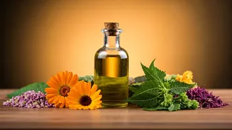 Celebrate Diwali 2025 with Ayurveda for Health