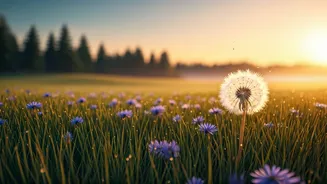 Related Stories banner