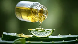 Óleo de Coco e Aloe Vera: O Segredo Caseiro para Raízes Fortes e Saudáveis