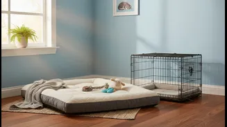 A Safe Room Should Protect Pets Without Trapping Them
