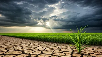 India's Weather Is Changing And So Are Food Costs