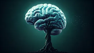 What Do You See First? An Optical Illusion Test to Uncover Your Personality Traits