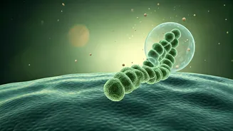 Monsoon Gut Health: Fortify Your Digestive System Against Seasonal Infections