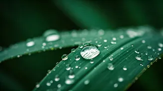 Monsoon Humidity Can Increase Your Fluid Needs