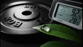 The Science Of Electrolyte Exhaustion: Why Air Moisture Alters Gym Hydration Needs Drastically
