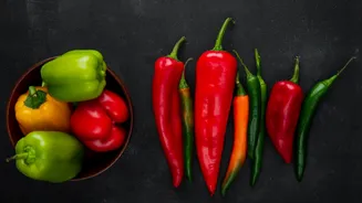 Pimenta biquinho, dedo-de-moça e mais: entenda as diferenças antes de cozinhar