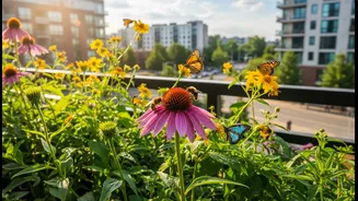 Balcony Gardeners Can Help Nature Locally