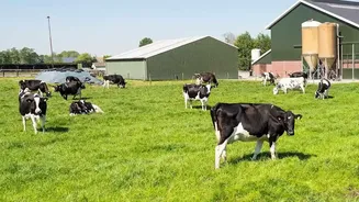 Heat And Humidity: Why India’s Dairy Farmers Are Watching The Weather