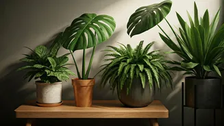 Local Plants Are Home's New Stars