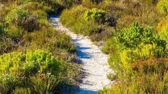 The New South Andaman Birding Trail: Checking Guide Quality Matters More than a Sightings List Alone
