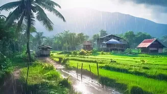 How To Read Rain Alerts Before Leaving Home During Monsoon