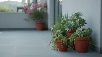 The Low-Water Gardening Shift Makes Low-Water Planting Beyond Droughts Worth Considering
