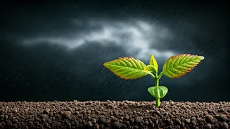 Your "Hasslers" Are Aging You Faster: 3 Psychology Secrets to Reclaim Your Years