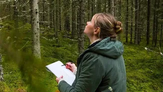 Finland debuts nature-based Quietchella