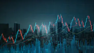 Navigating Market Volatility: Trends and Insights