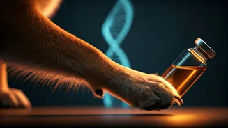 AI's Miracle Cure? Man Uses ChatGPT for Dog's Cancer Vaccine
