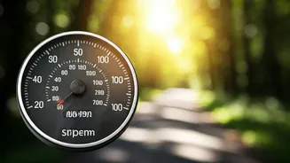 Daily Steps for a Sharp Mind: Delaying Alzheimer's