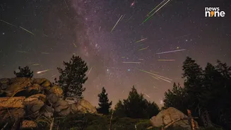 Geminids meteor shower peaks this week: How and when to watch spectacular display