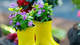 Old Kitchenware Can Find New Life Across Your Home