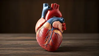 Magnesium Deficiency: Spot the 9 Signs & Solutions