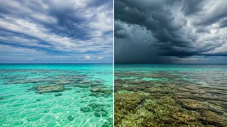 Andaman Trips Are Beautiful, But Not Fully Predictable