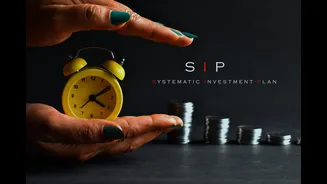 PhonePe Wealth launches ‘Daily SIP’ feature with minimum investment of ₹10