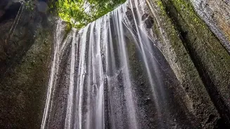 How To Plan A Trip To Sohra Waterfalls Living Root Bridges