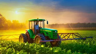 Kharif Crops And Rainfall: What Indian Farmers Need To Know