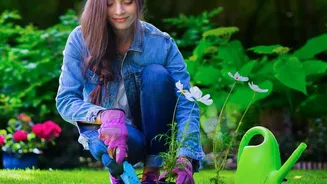 The Latest August Gardening Advice Keeps The Focus On Careful Watering