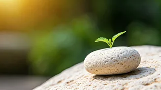 Youth Wellbeing: Therapist-Backed Daily Habits for Stress Relief