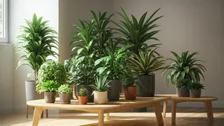 Plants Give Every Room A Fresh Reset