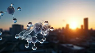 Air Quality Explainers Need Local Daily Relevance