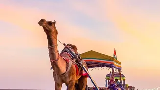 Four-Month Rann Utsav Could Anchor Gujarat's Winter Travel Calendar