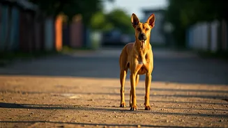 Related Stories banner