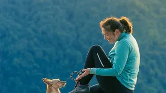 Wet Weather Makes Drying And Paw Care More Important After Outdoor Walks