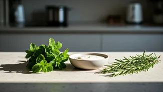 Unlock Your Kitchen's Natural Deodorizing Secrets: Beyond Air Fresheners!