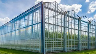 Soundwave Powered Crop Protection Shields Urban Farms Without Using Chemical Spray