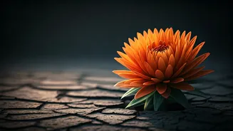 Cancer: Embrace Opportunities Today, January 15, 2026!