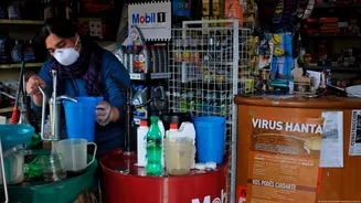 Hantavírus de cruzeiro é transmissível entre humanos