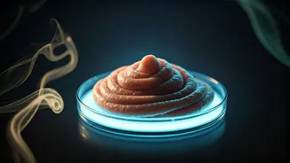 Nighttime Curd Consumption: Unpacking Digestive Woes and Healthier Alternatives