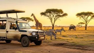 Swaziland safari adventure: 5 items to pack
